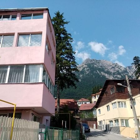 Отель Vila Danlavi Буштени Экстерьер фото